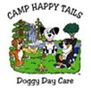 Camp happy tails doggy day care